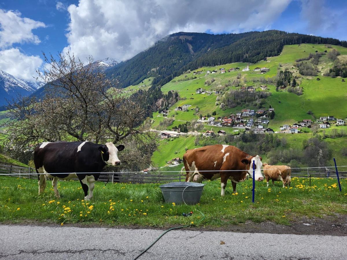 Bergbauernhof-Grinzens Daire Dış mekan fotoğraf