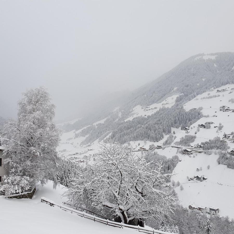 Bergbauernhof-Grinzens Daire Dış mekan fotoğraf