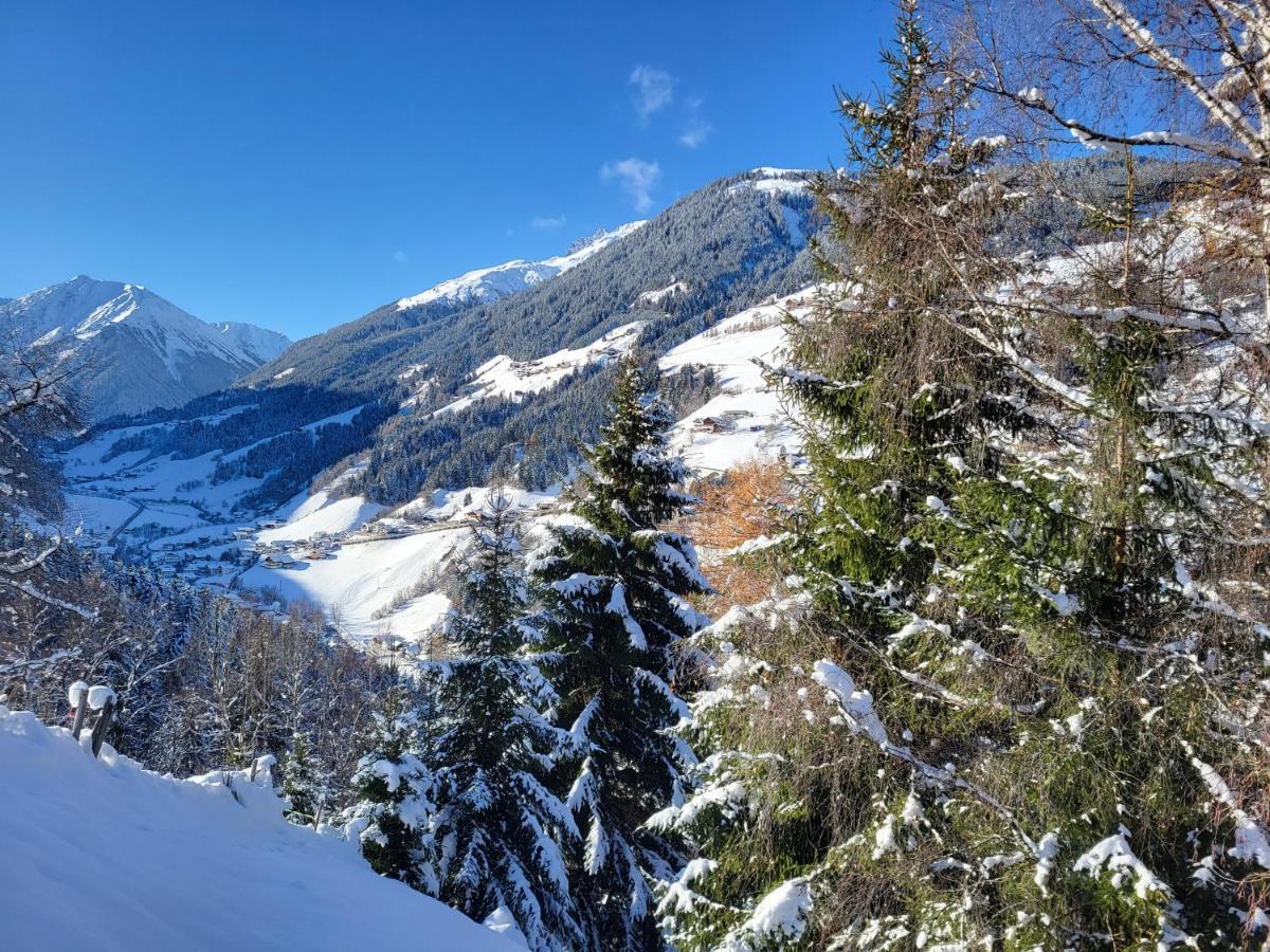 Bergbauernhof-Grinzens Daire Dış mekan fotoğraf
